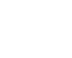 Logo del Programa Universitario de Bioética